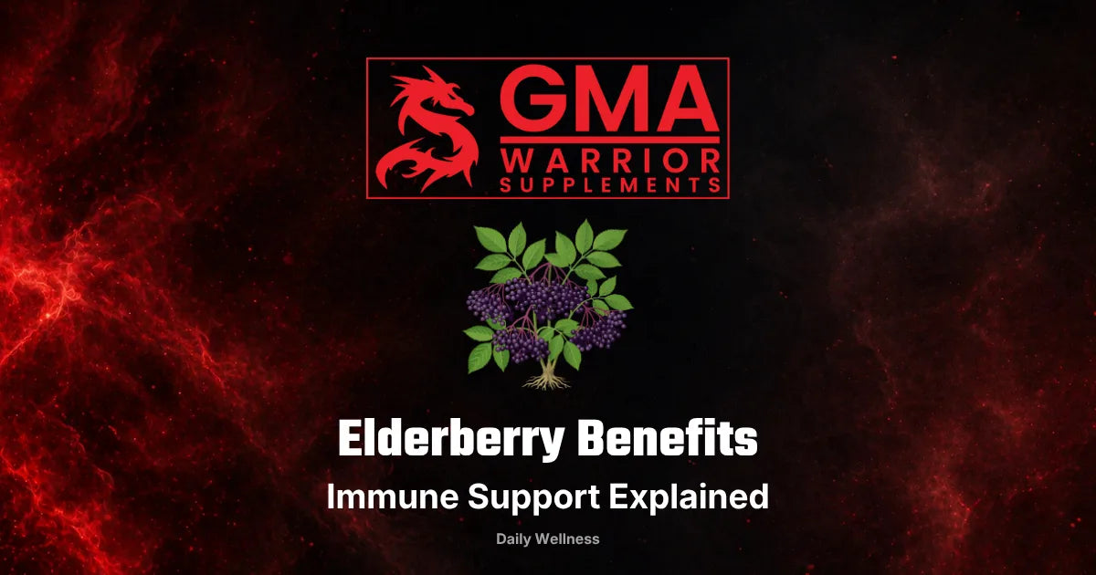 Elderberry immune support: what the research shows about black elderberry syrup, extracts and safety